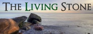 The living stone